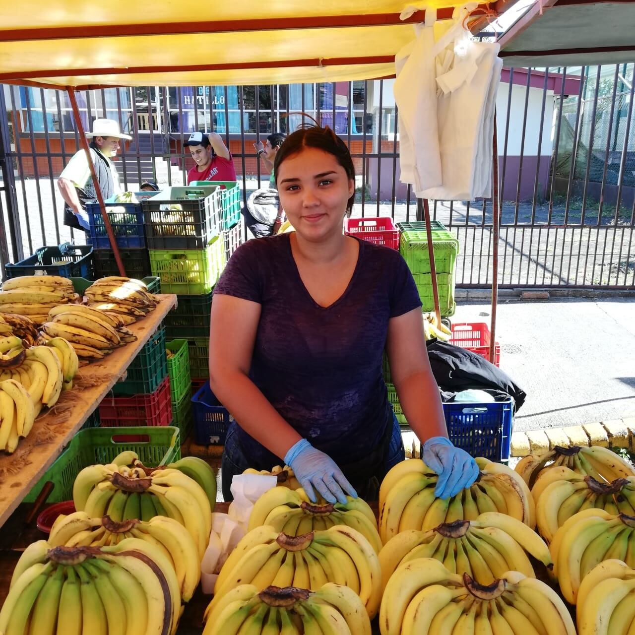Las Ferias del Agricultor en el país trabajaron normalmente y con mucha higiene
