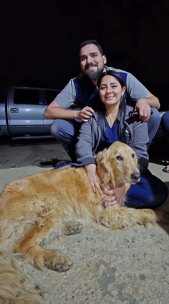Perrita Leia volvió con sus dueños