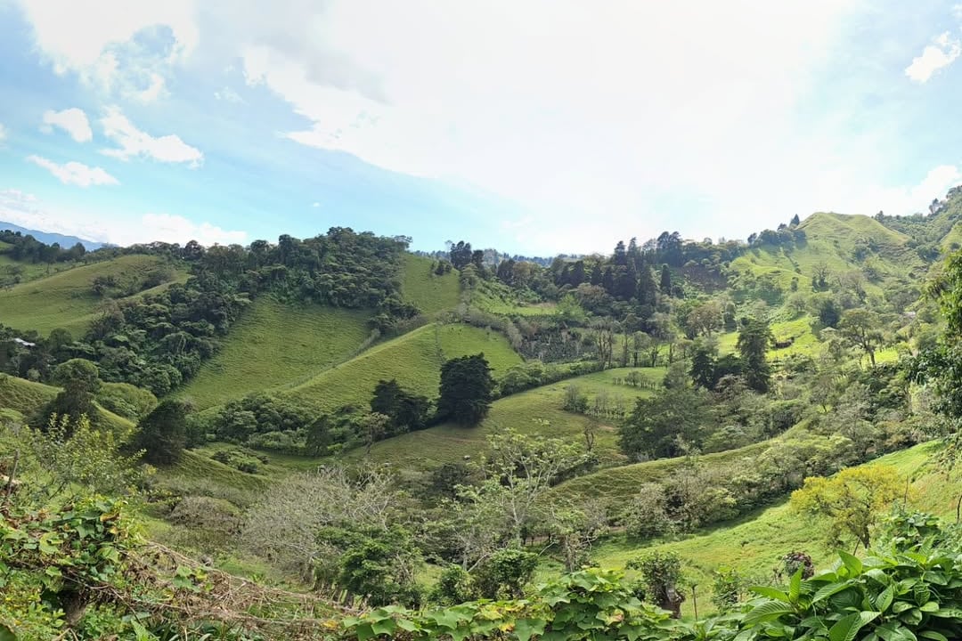 Explore la magia de la naturaleza en una caminata por hermosas montañas.