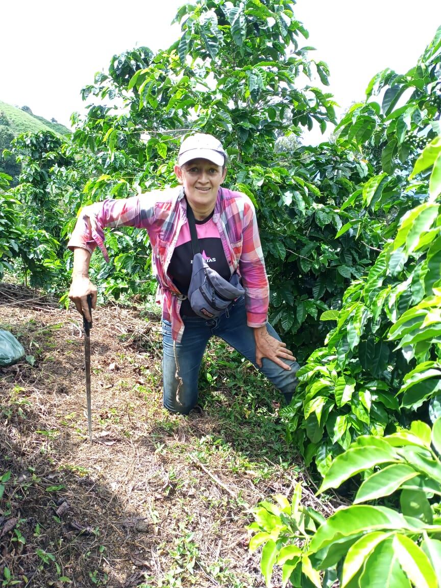 Ana Jiménez Castro es una cafetalera de Aserrí. Se metió de cabeza con el tema del café hace seis años y jamás imaginó que el cafecito que ella con tanto amor produce llegaría a las manos del papa Francisco.