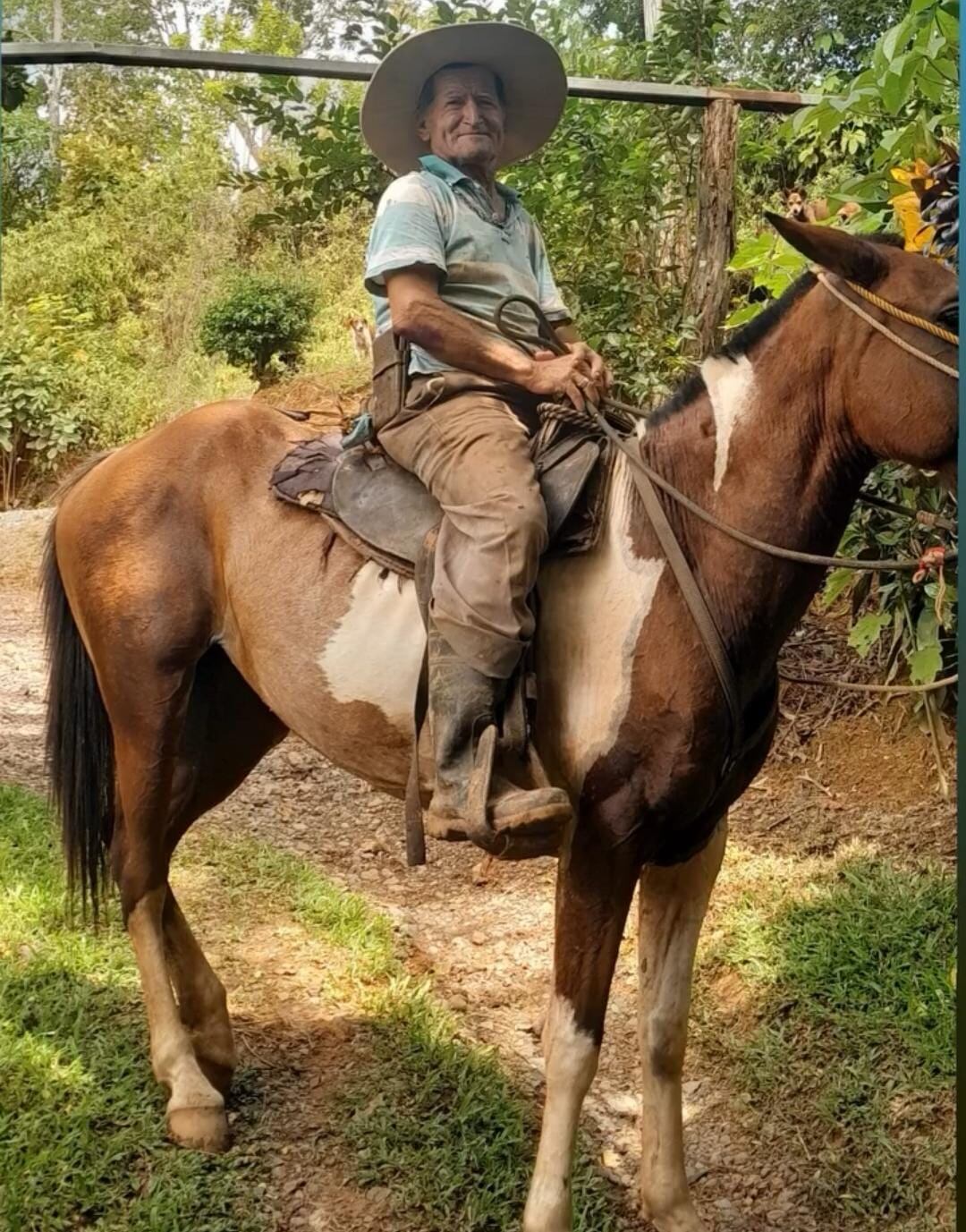 Don Ramón Masís Prado, de 72 años, una de las víctimas del doble homicidio en Parrita, estaba ilusionado porque recuperaría la vista de uno de sus ojos. Foto: Evelyn Obando para La Teja