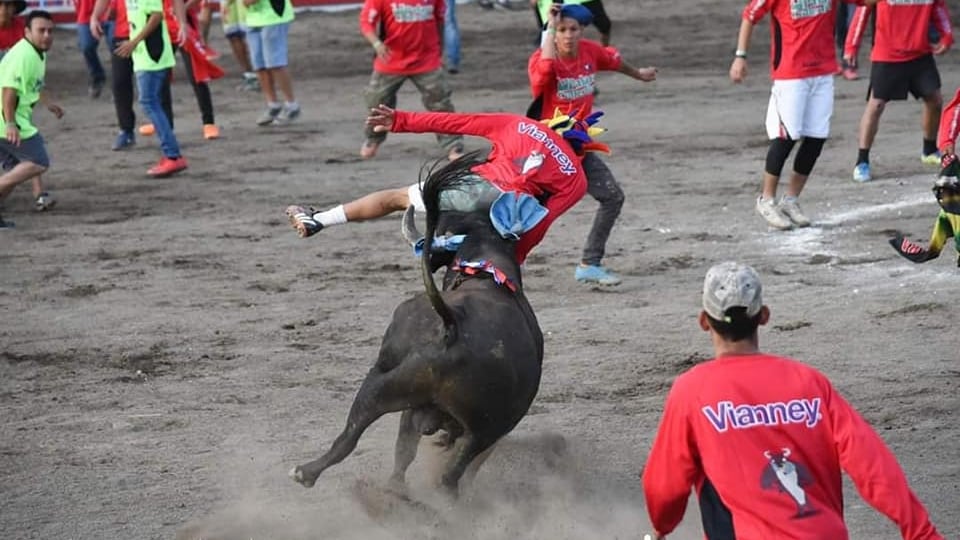 Muy poquitos lo conocen como Paul de Jesús Vasconcelos Chavarría, sin embargo, al decir que hablamos de Pikos, el torero improvisado, una mayor cantidad de gente sí lo reconoce porque lo ha visto desde el 2019 en las transmisiones televisivas de los toros de fin y principio de año.