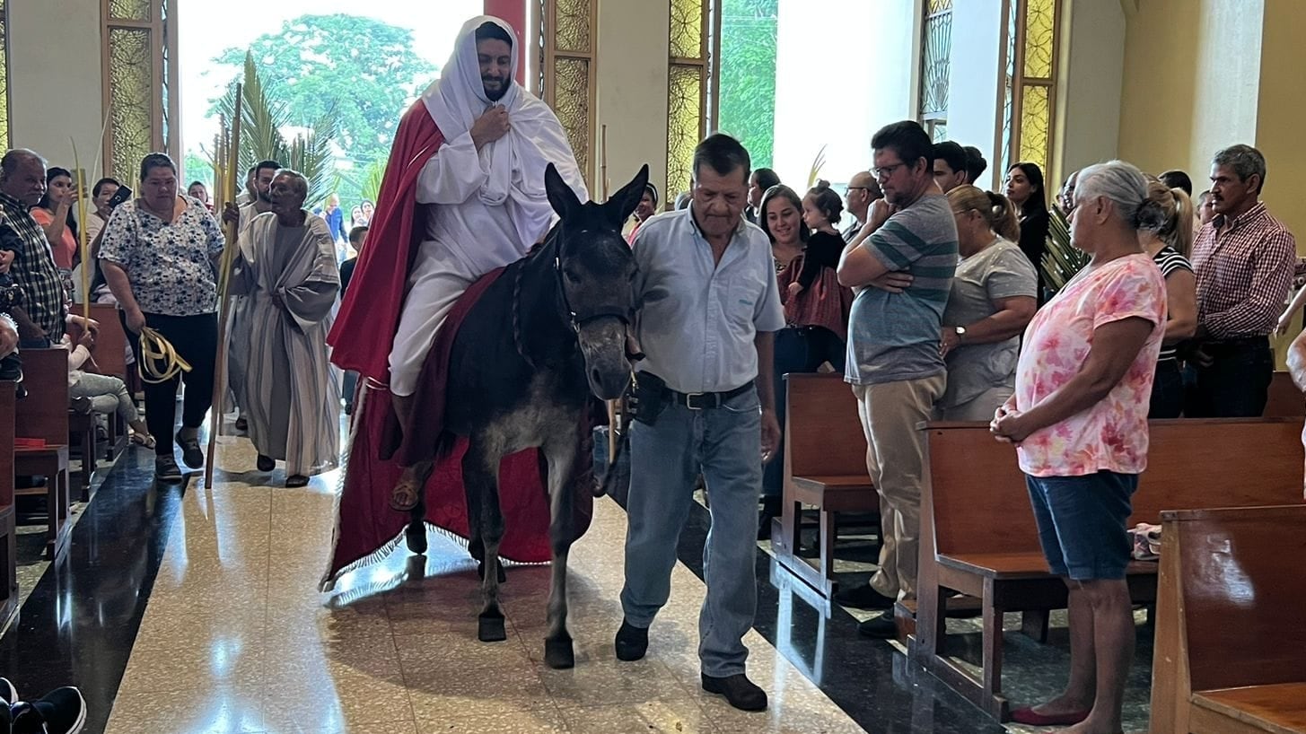 Milo es un burrito que vive en San Carlos y ese 2026 cumplirá 8 años de cargar a Jesús en la procesión del Domingo de Ramos de Semana Santa. El dueño se llama Mauricio Cedeño Quesada.