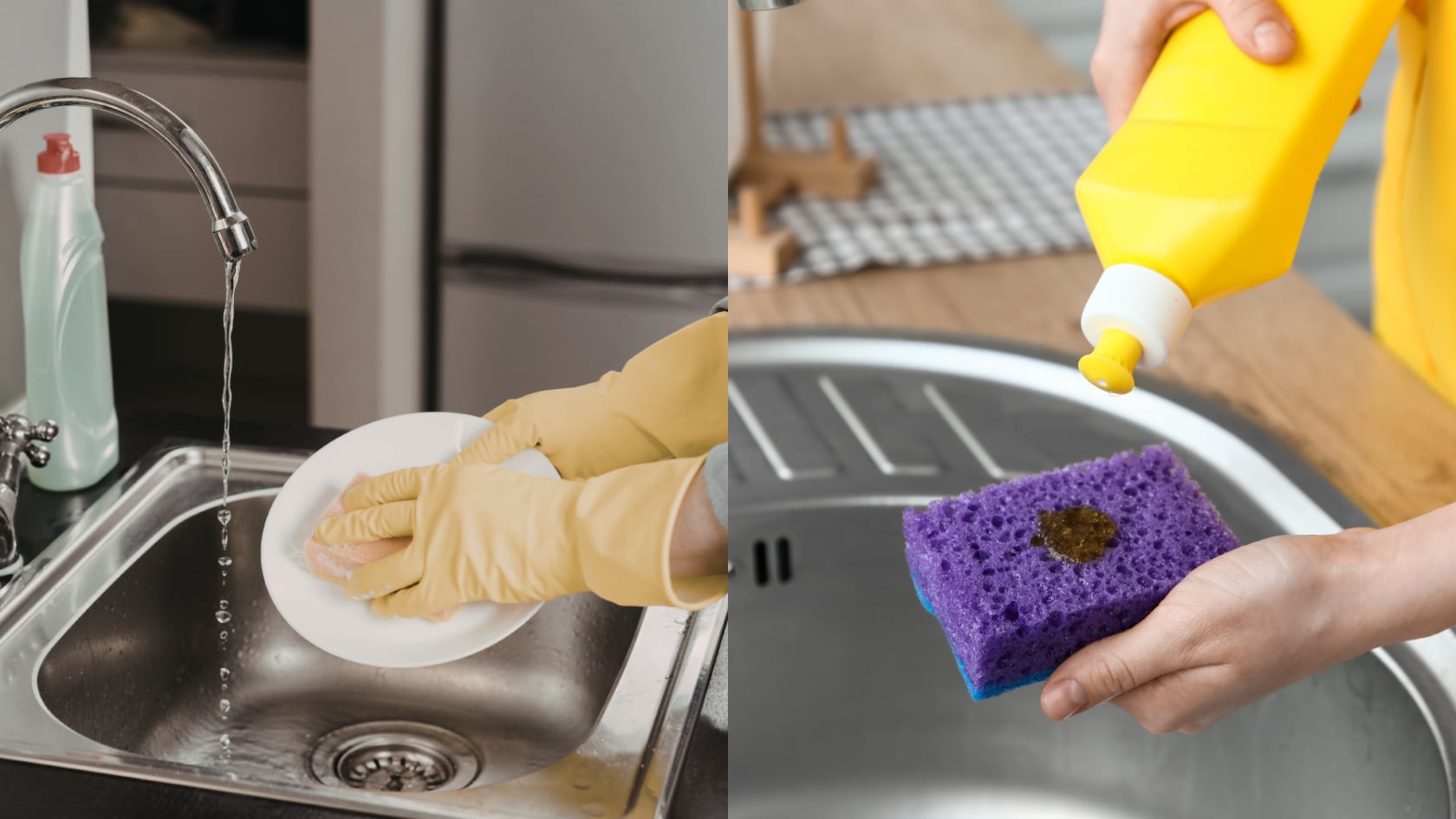 Esponjas tradicionales liberan microplásticos. Expertos sugieren alternativas naturales para reducir contaminación en el hogar.