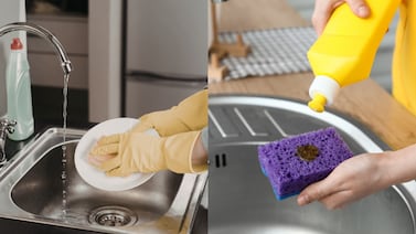 La esponja con la que lava los platos podría tener más bacterias que un inodoro