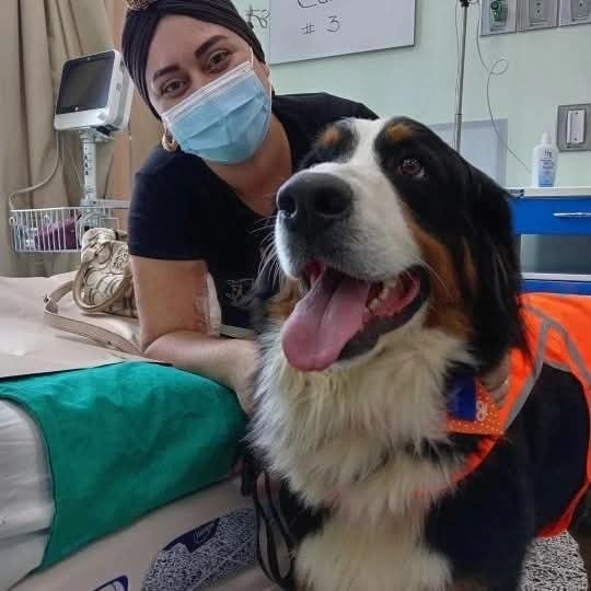 Berna, de raza Boyero de Montaña Bernés, es pionera de un escuadrón de perros que visita hospitales, pacientes con cáncer y hogares de adultos mayores para llevar compañía y cariño.