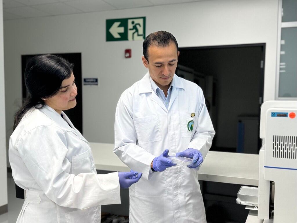 Actualmente, el equipo del Cicica-UCR está trabajando en el tema de papiloma está integrado por el Dr. Rodrigo Mora Rodríguez, el Dr. Ricardo Chinchilla desde la parte de la bioinformática, la Dra. Ana Cristina Castro desde el eje de inmunología y diagnóstico molecular y el Dr. Isaac Quirós quien se encuentra terminando un Postdoctorado en la Universidad de Heidelberg, Alemania. Fotografía de Jenniffer Jiménez.