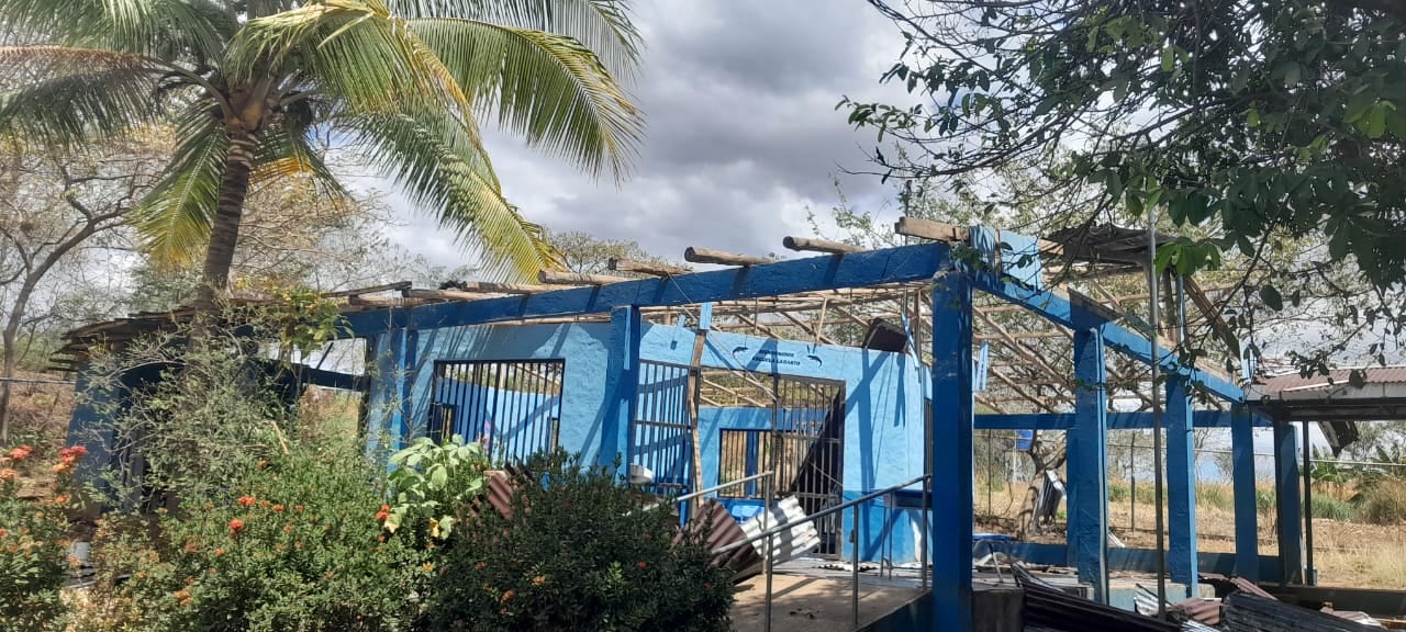 सरडे बीच शाळा