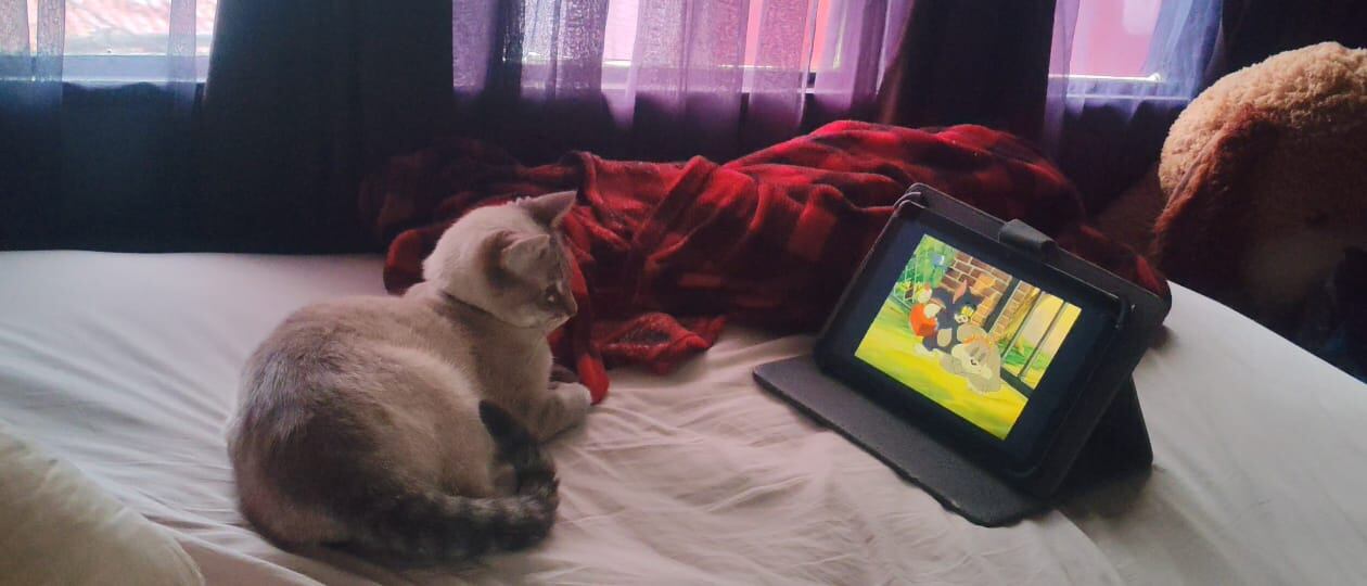 Desde siempre, doña Yoselyn Chaverri Artavia, vecina de Heredia centro, supo que la vida con mascotas tiene algo mágico. Por eso se enamoró a primera vista de Mitsuha, una gata mestiza