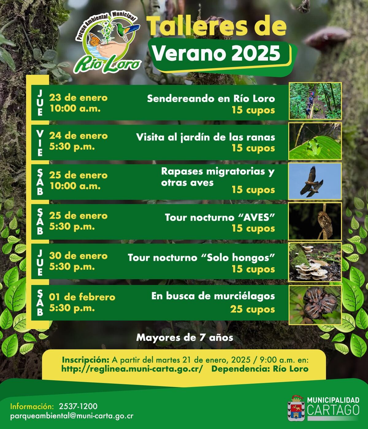 El Parque Ambiental Río Loro cuenta con muchos atractivos.