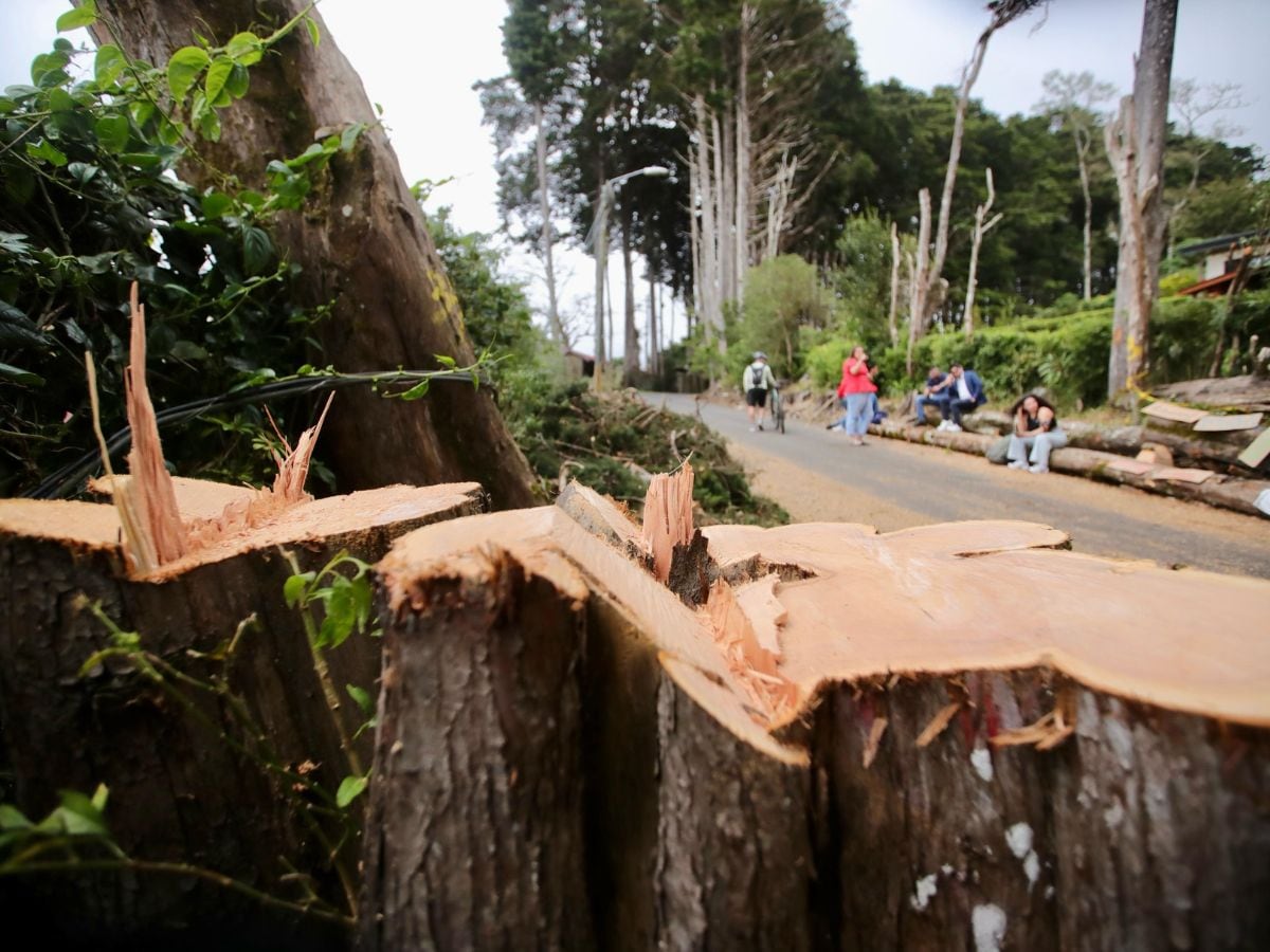 Así luce hoy la entrada de El Tirol.