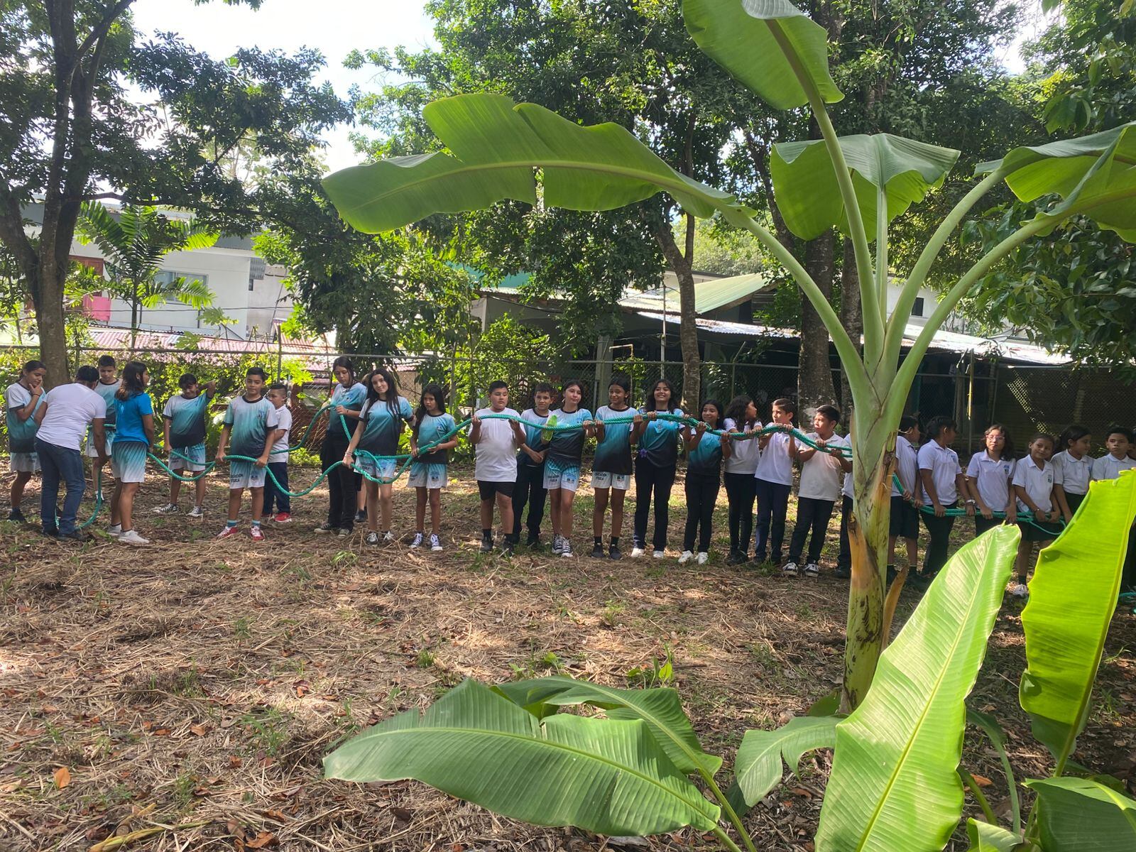 En la Escuela Santa Teresa de Cóbano, Puntarenas, el timbre de entrada apaga los gritos alegres de los niños, marca el inicio de clases, también anuncia la llegada de los gritos roncos de los monos congos que viven entre los árboles que rodean el centro educativo.