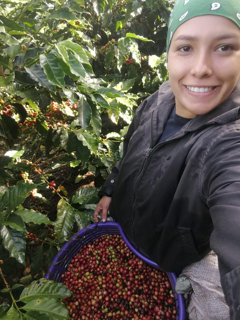 Yanory Salazar Arce, una puriscaleña que se siente muy orgullosa de coger café.