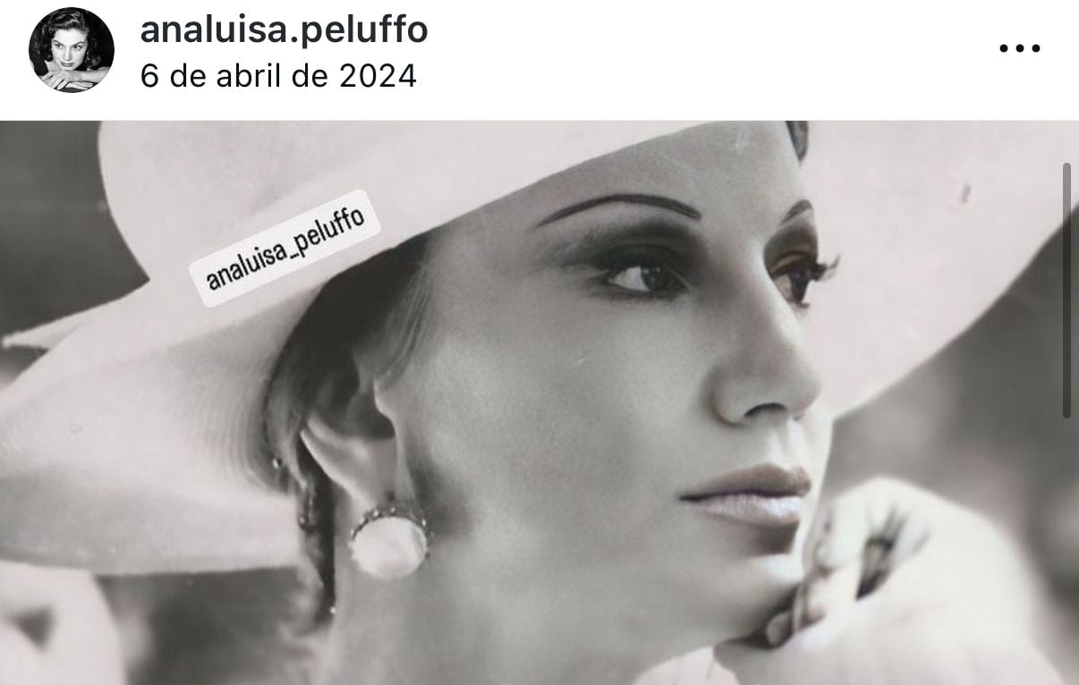 Instagram Ana Luisa Peluffo