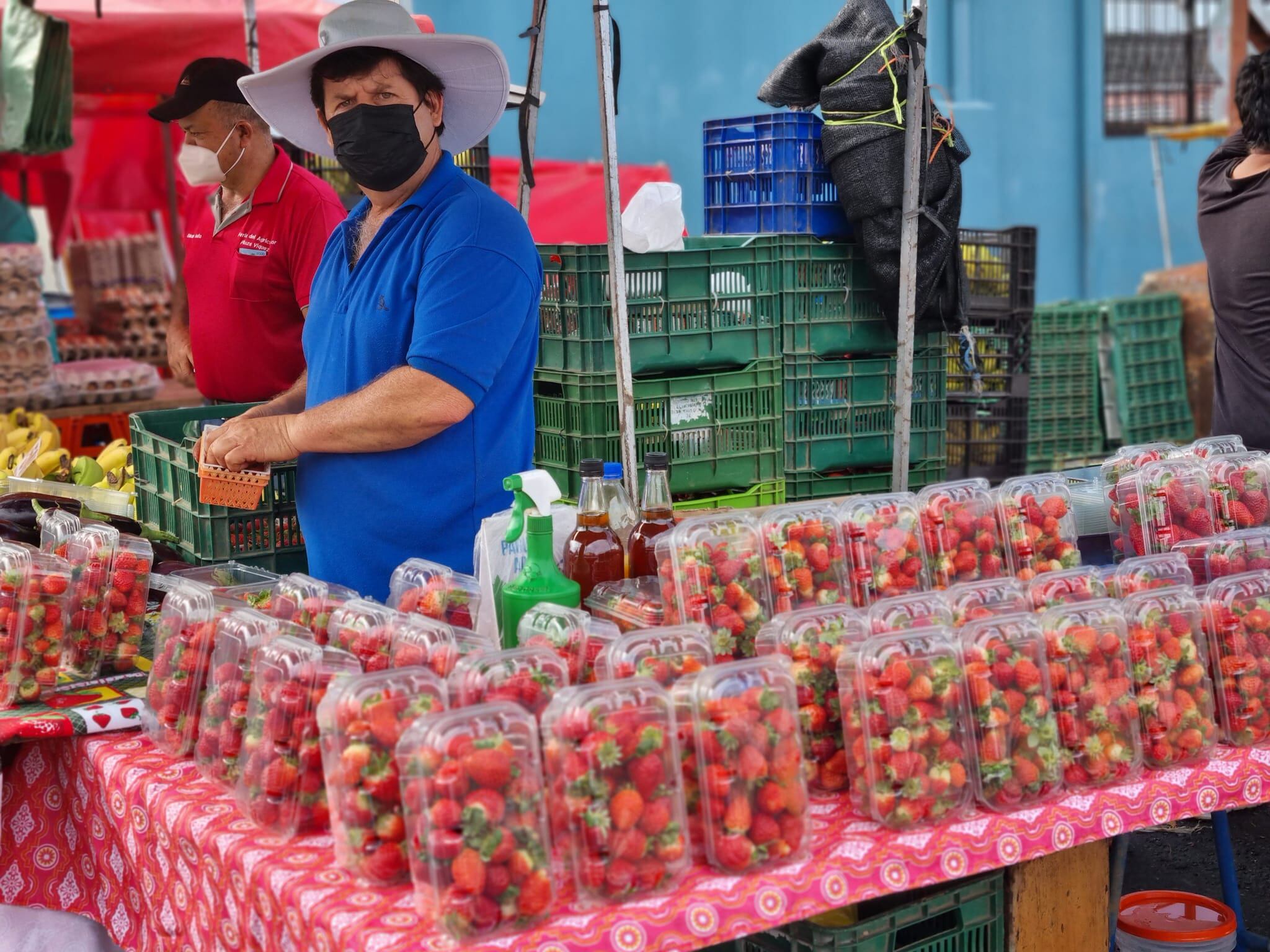 Don Henry Arroyo Núñez desde hace más de treinta años es agricultor. Cultiva fresas. Cuando su hijo, Abelardo Arroyo Vargas, nació hace 22 años, sabía que le enseñaría el noble oficio de la agricultura