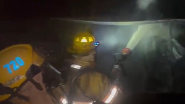 Voraz incendio golpea conocida fábrica de alimentos, bomberos atienden emergencia