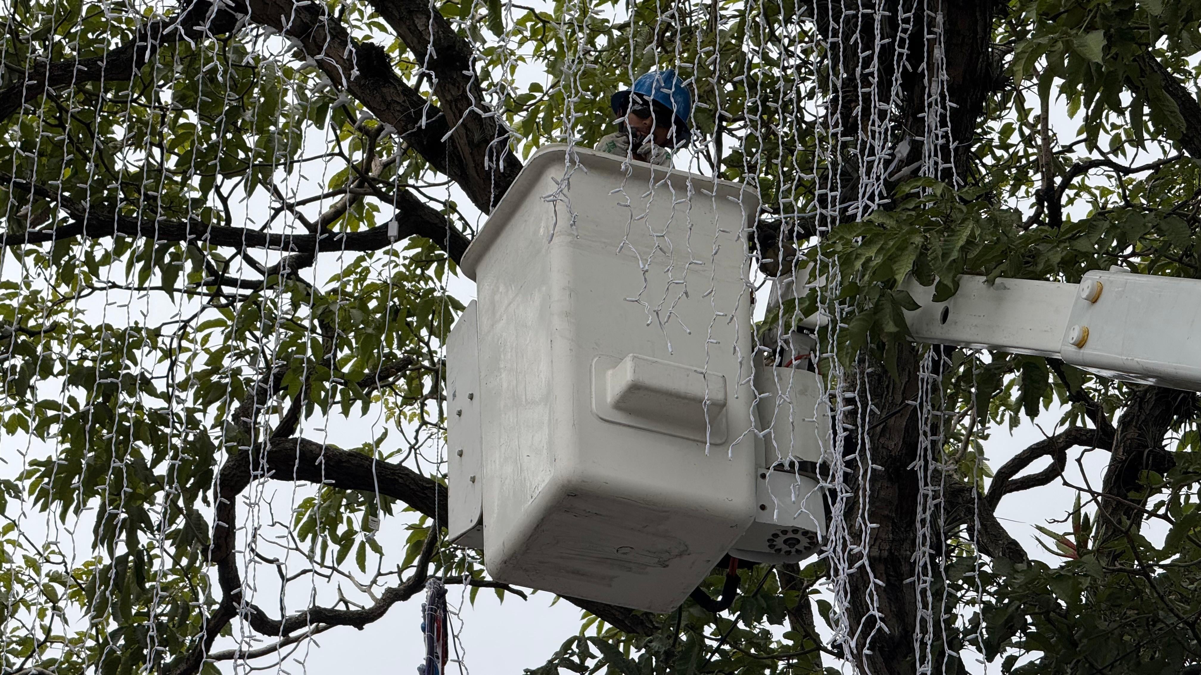 Desde el puro corazón desde donde se vive y disfruta el Festival de la tortilla, en Corralillo de Nicoya, Guanacaste, es Darren Cortes Silva, técnico electricista quien comenzó esta semana a colocar los adornos que con su luz alegrarán la Navidad de San José.