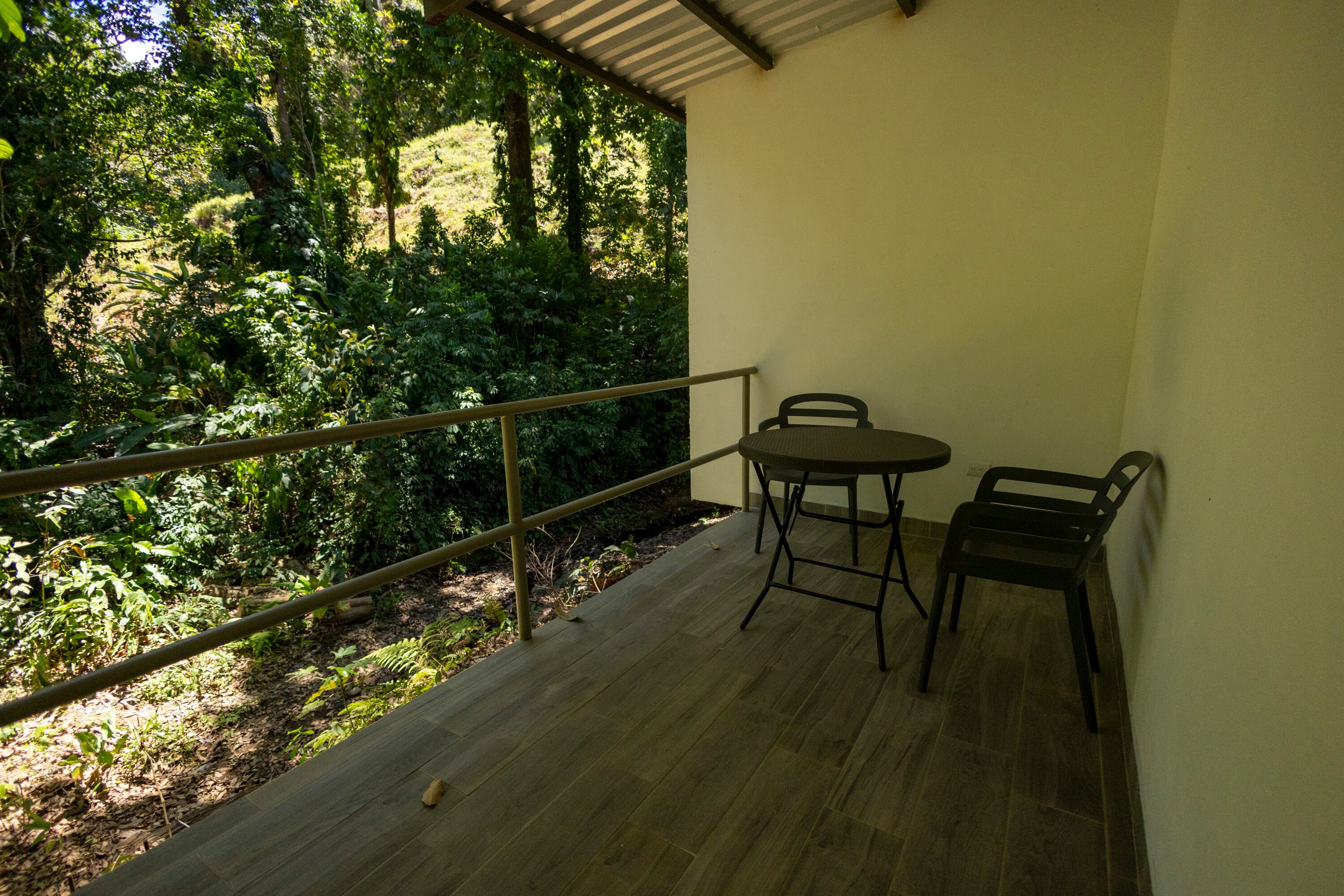 MATERIAL EXCLUSIVO DE LA TEJA.
27/02/2024, Puntarenas, Jacó y Quepos, recorrido por Carara Adventure Park y la Marina Pez Vela, para ver las atracciones que ofrecen al turismo nacional y extranjero.