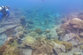 Paseo de buceo en la isla del Coco terminó en tragedia para una costarricense
