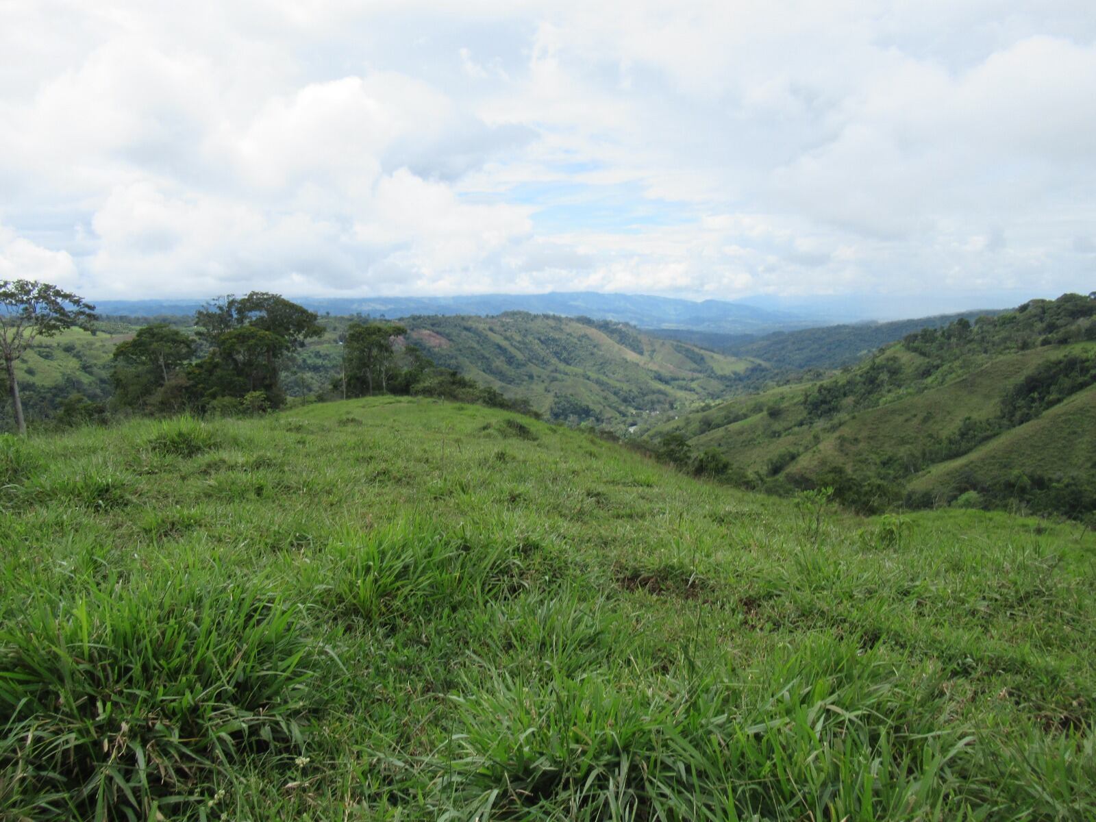 El Instituto Nacional de Seguros (INS), la está vendiendo. Este viernes 16 de mayo el INS confirma que pone a la venta 8 propiedades ubicadas en Coto Brus (San Vito y Pittier), Lepanto de Puntarenas, Coyolar de Orotina y Siquirres, en la provincia de Limón.