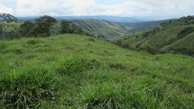 INS vende propiedades de más de dos mil metros cuadrados a precios increíbles