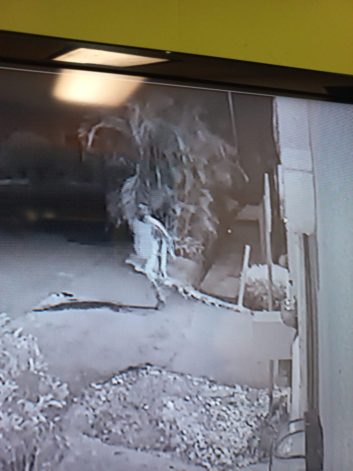 A una familia le robaron la verja de su casa, ellos se dieron cuenta cuando el ladrón aún estaba.