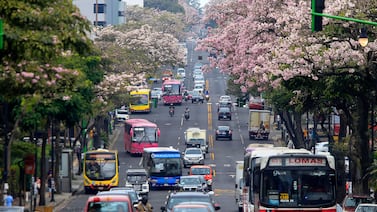 MOPT anuncia fecha en la que se suspenderá la restricción vehicular por el resto del año