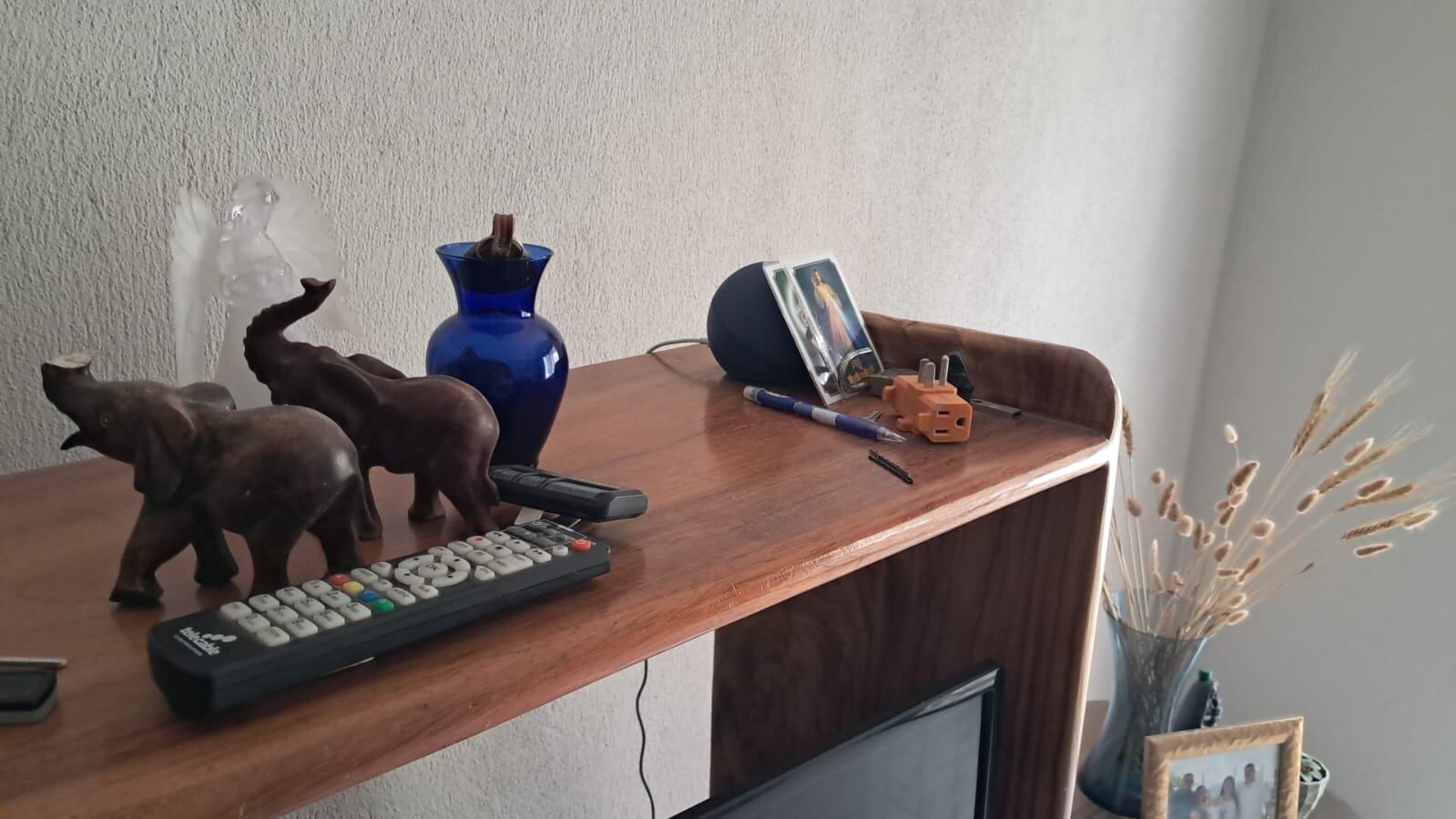 En muchos hogares costarricenses ya se encuentran las Alexas, parlantes inteligentes, conectadas al wifi, que responden cuando uno les habla. Pero la verdad es que en la mayoría de casas apenas y se aprovechan