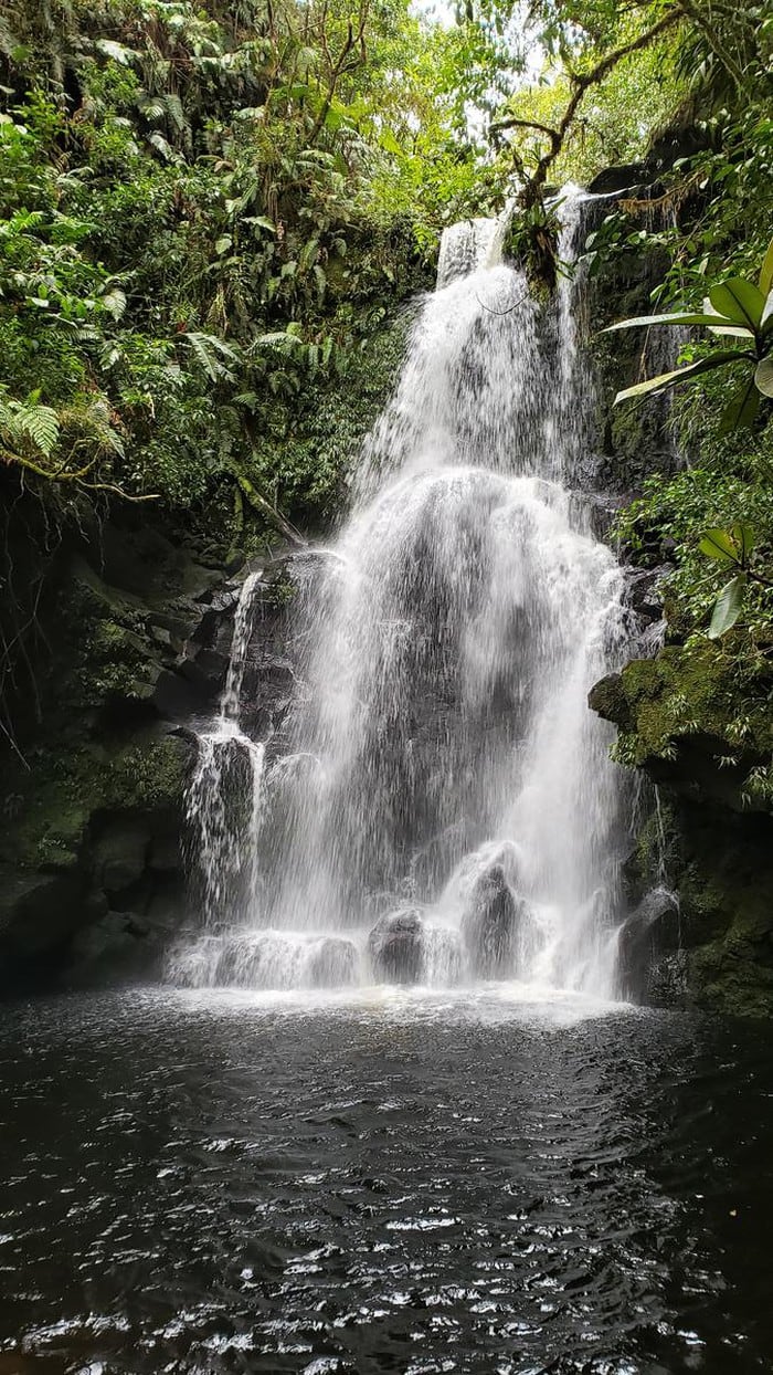 Este domingo le espera una aventura recorriendo Cerro Danta, en Heredia.