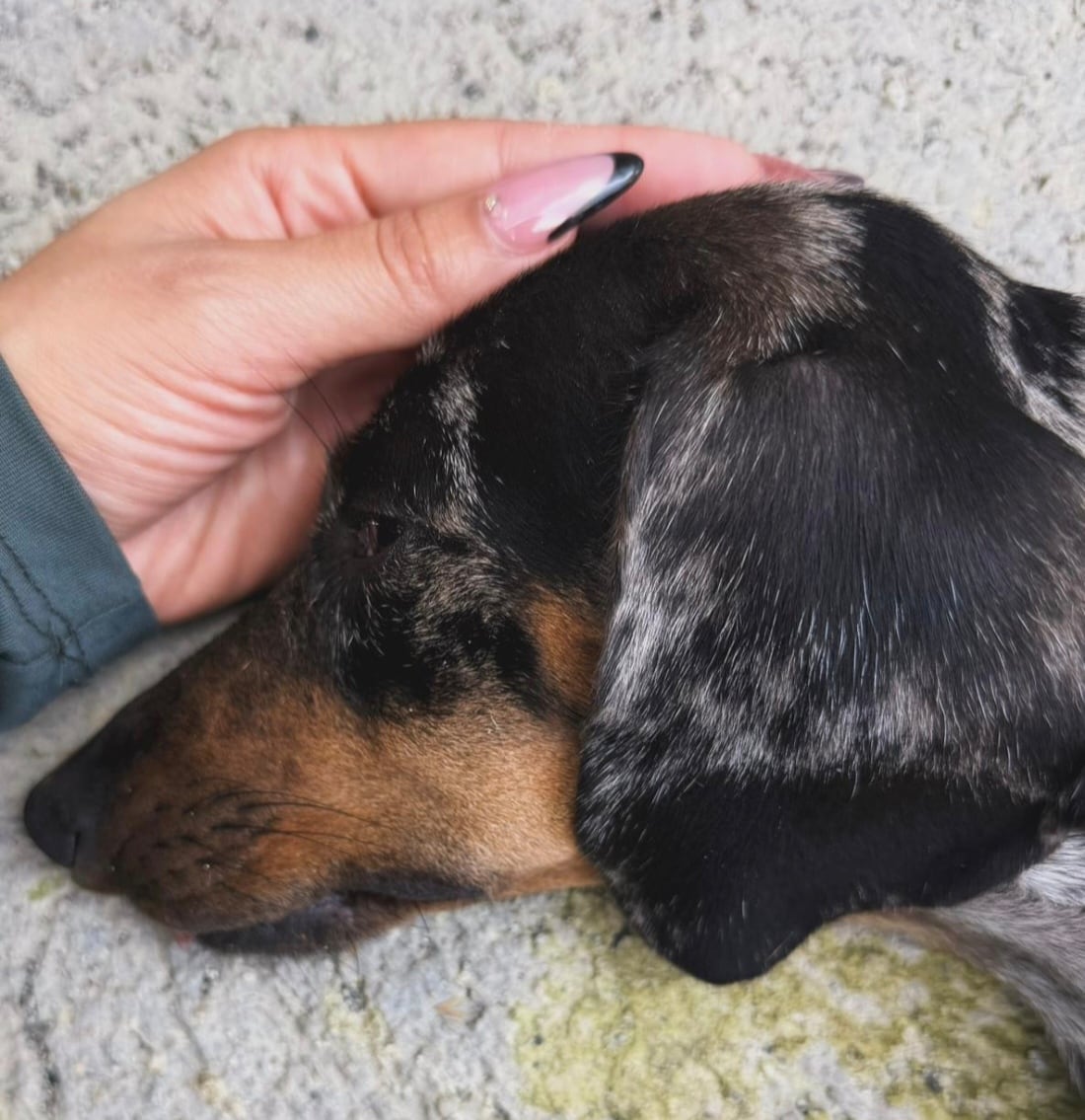 Melissa Mora, cantante, modelo y empresaria.