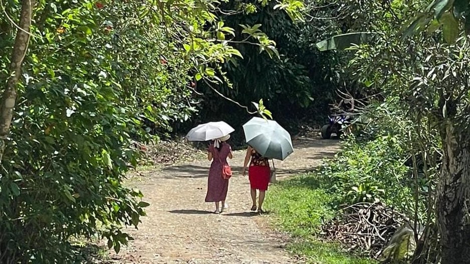 Testigos de Jehová hablan sobre la libertad religiosa
