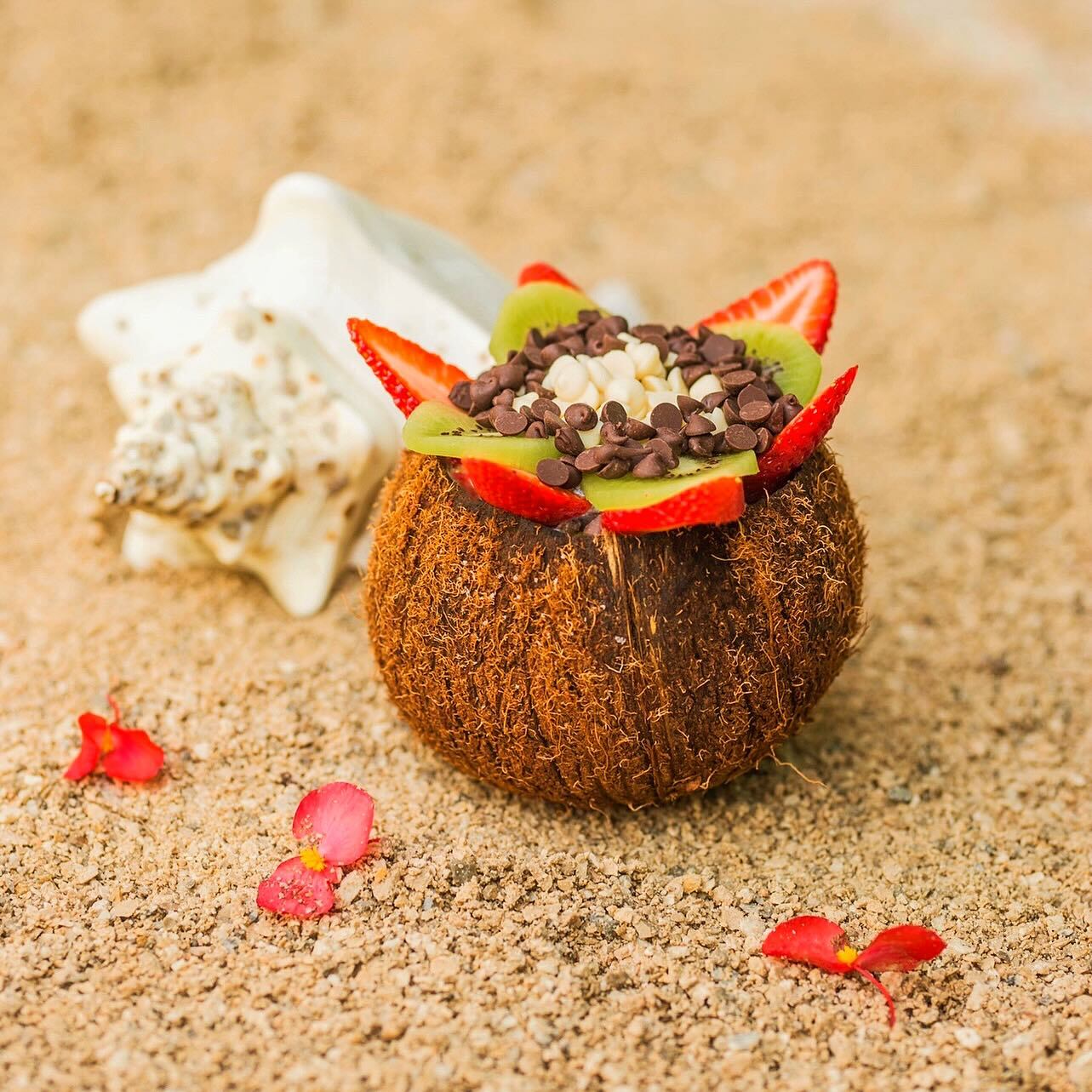 Coco Bowls (Cortesía)