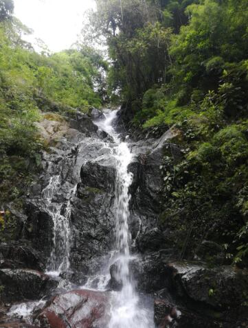 Le invitamos a reconectar con la naturaleza en una caminata que lo llevará a la catarata Londres. Facebook.