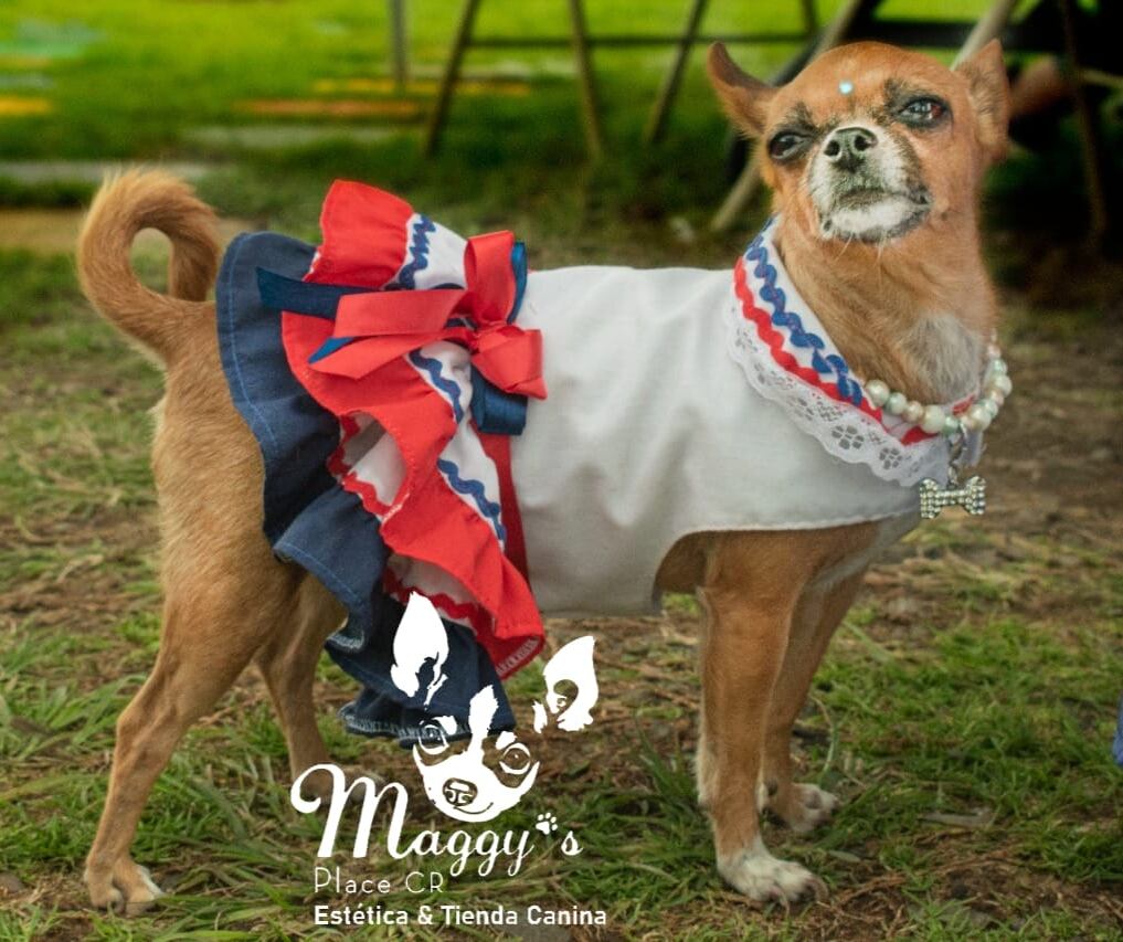 Catalina Alvarado es un ejemplo de cómo con esfuerzo y dedicación se pueden cumplir las metas