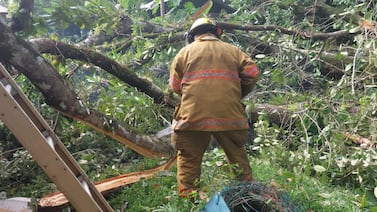 Joven futbolista murió tras ser golpeado por un árbol en Valle La Estrella