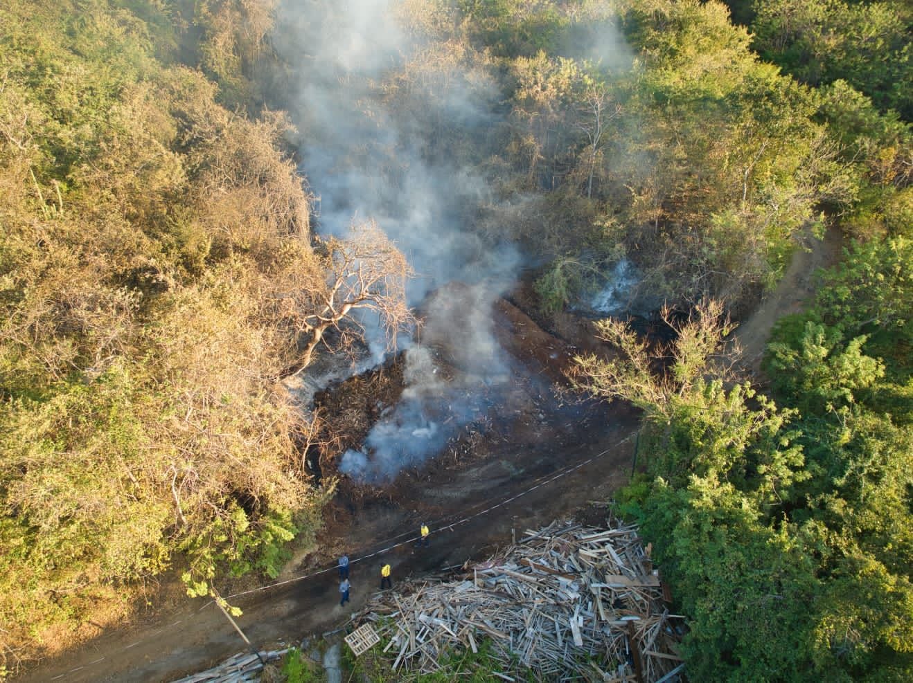 Incendio Forestal, Guanacaste, Santa Cruz, Tempate, playa Danta, en Las Catalinas.