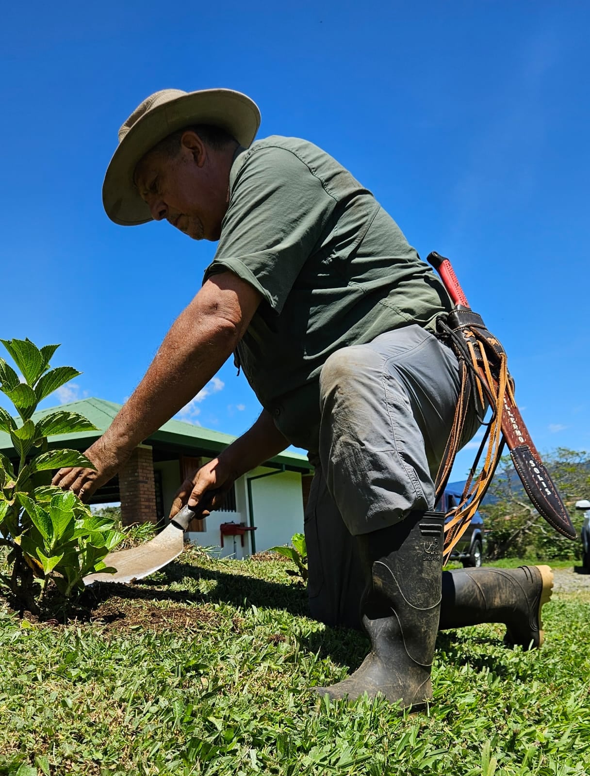 Luis Guillermo Solís dedica su tiempo libre a la agricultura