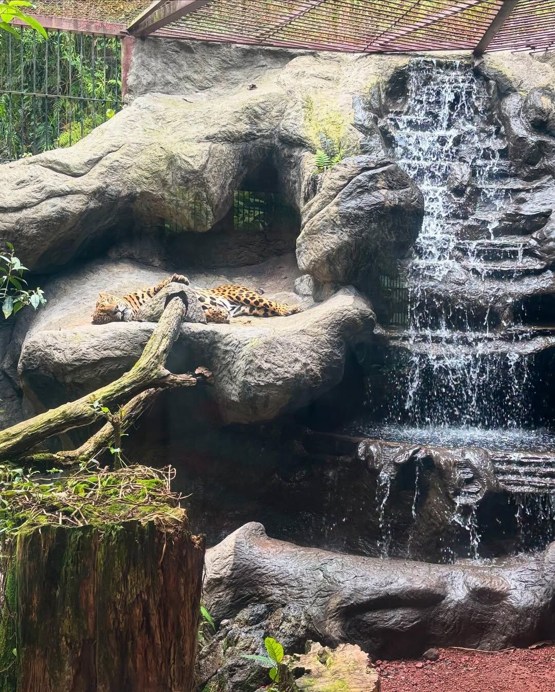 Fabiola Herra compartió con su amado en un paraíso que le hace la boca agua a cualquiera.