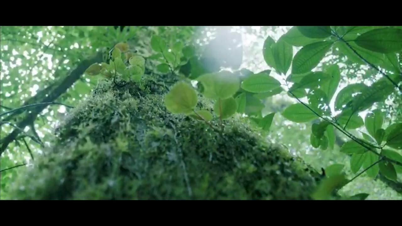 El turismo tico sufre como jamás antes en la historia