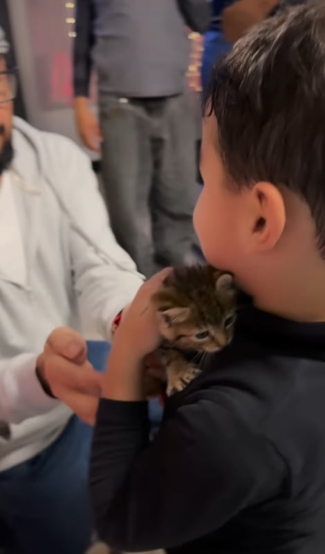 Montserrat del Castillo