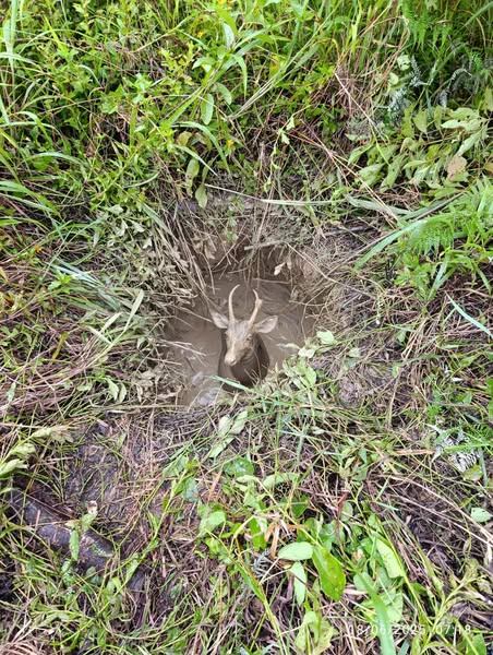 Héroe anónimo bomberos de Costa Rica