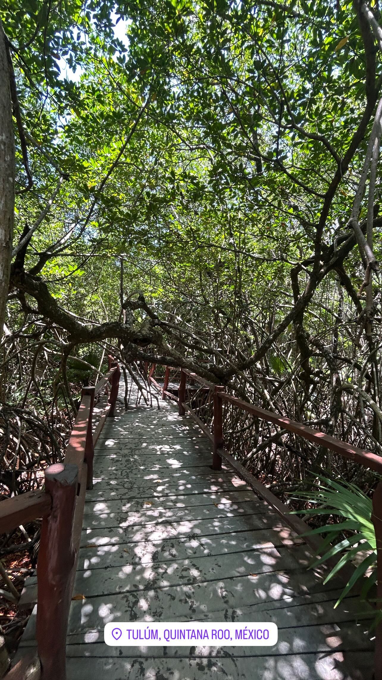 Jefry Valverde se tomó un descanso tras finalizar el Clausura 2025.
