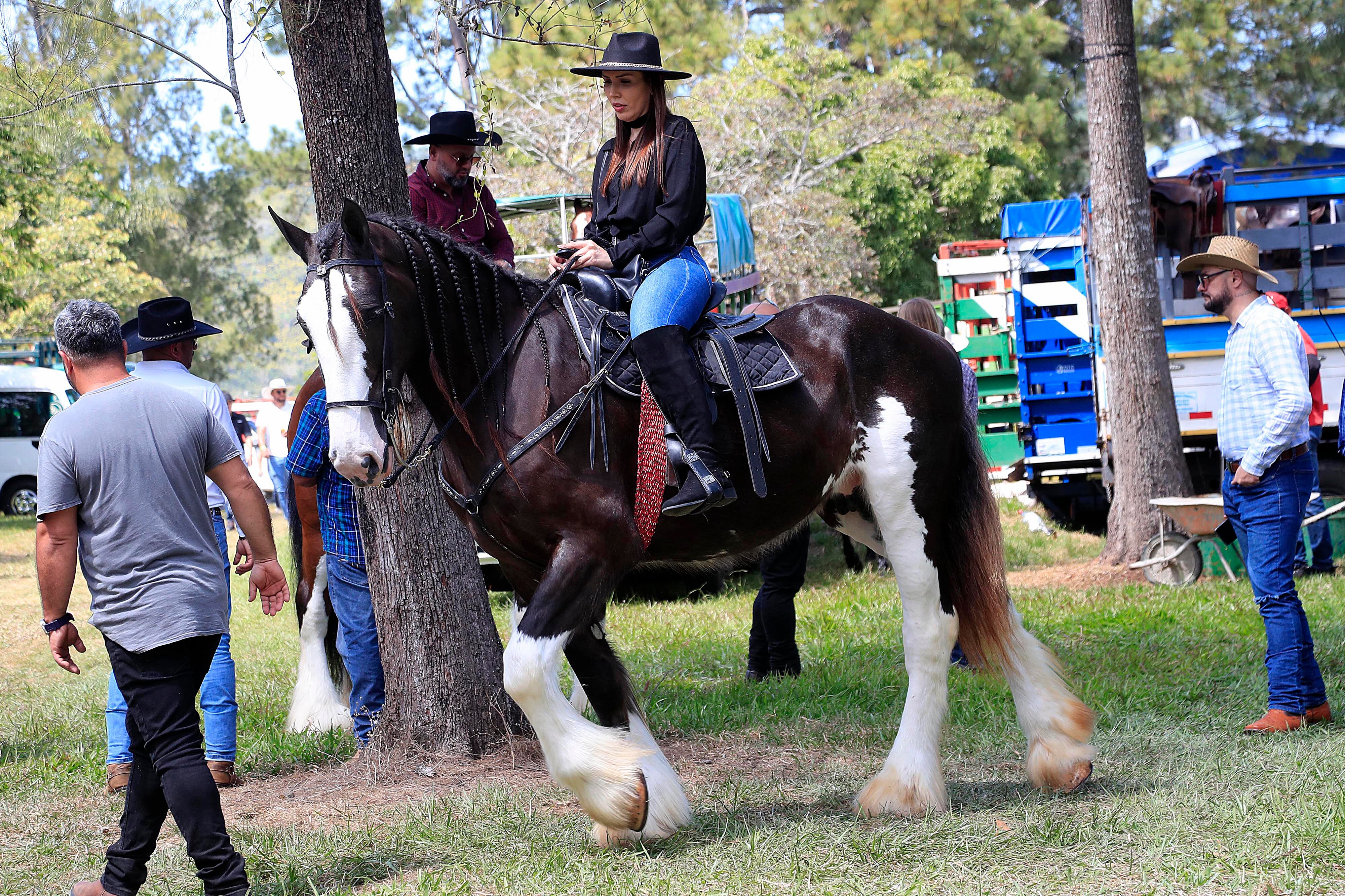 18/01/2024     Palmares. Miles de personas fueron testigo de la participación jinetes y caballos, este jueves, en el tradicional tope con el que inician oficialmente las fiestas cívicas en este cantón alajuelense. Además de los caballistas, destacó la presencia de reconocidas figuras de la política, el deporte y la farándula.