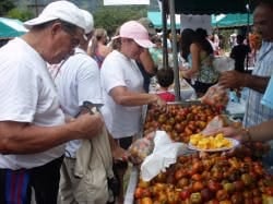La Feria del Pejibaye se realizará el próximo mes 28,29,30 de octubre.