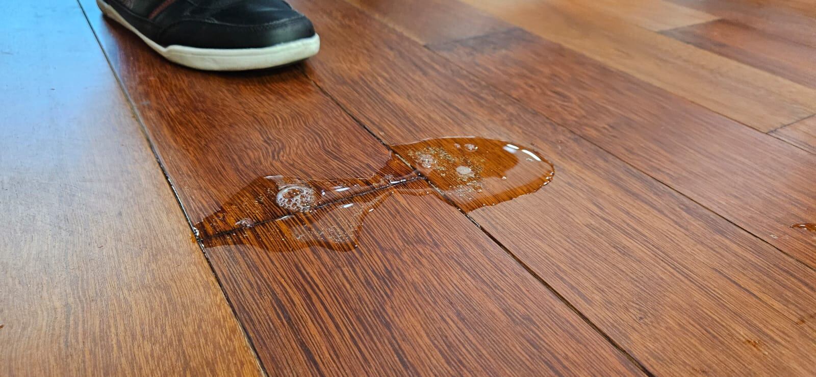 Daños por el agua en la Asamblea Legislativa