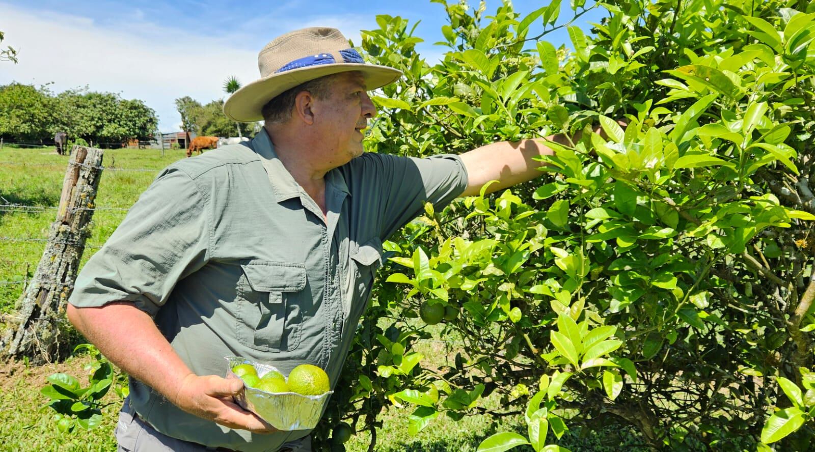 Luis Guillermo Solís dedica su tiempo libre a la agricultura
