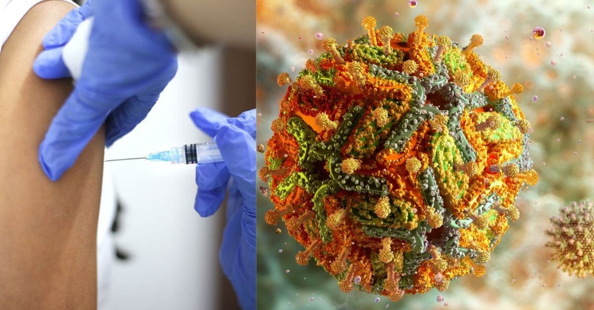 Una composición fotográfica. A la izquierda, un brazo recibe una vacuna. A la derecha, el virus de la fiebre amarilla.