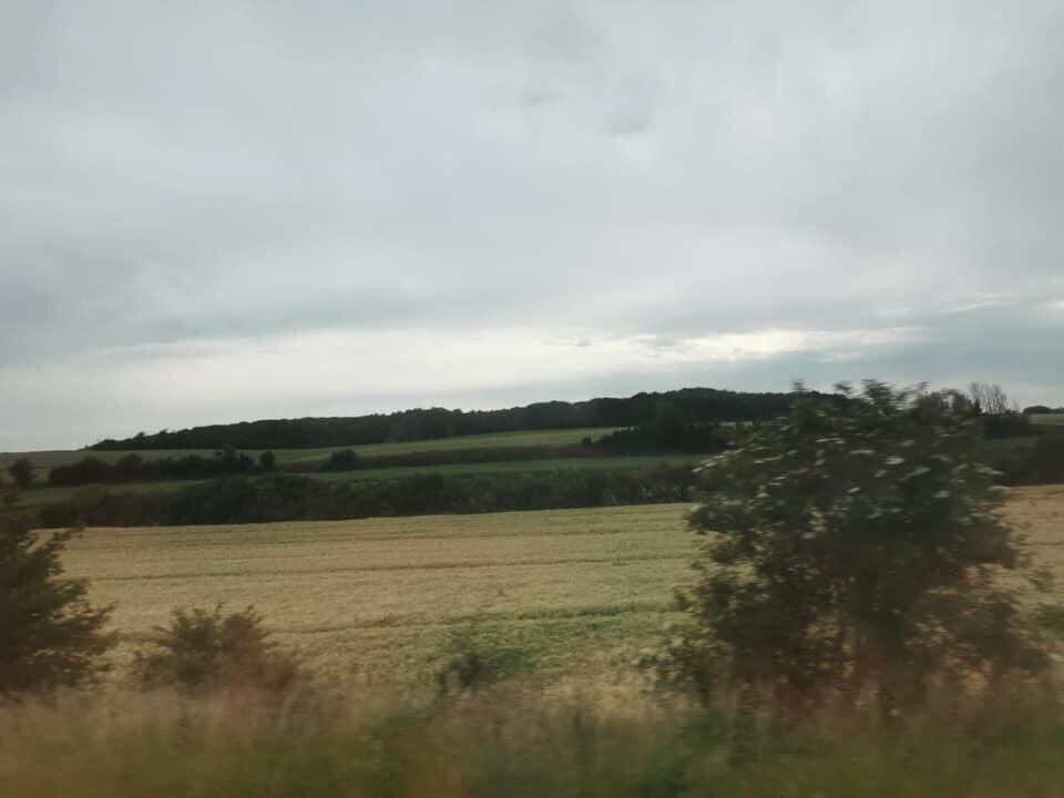 Ovni, dibujos en pastizales en Francia