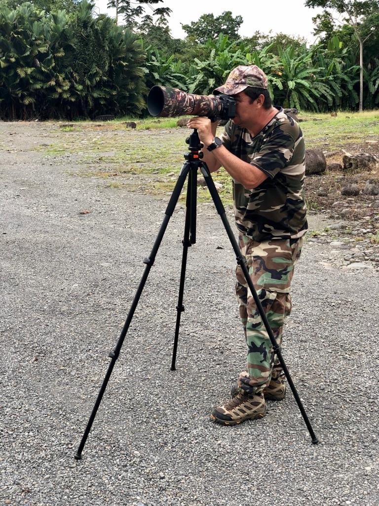 ¡Es real! Logran fotografías un tucán blanco en Guápíles