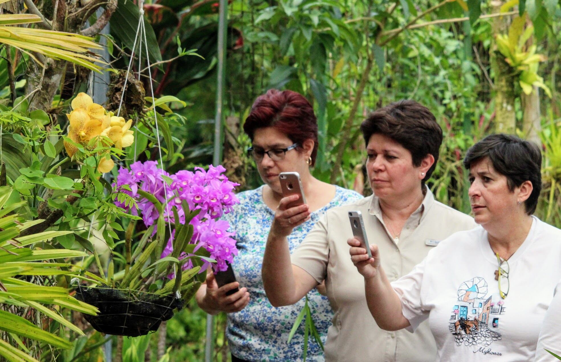 Caribbean Botanical Garden